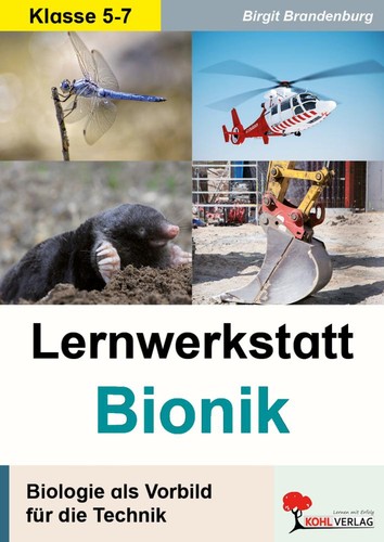 Birgit brandenburg - birgit,